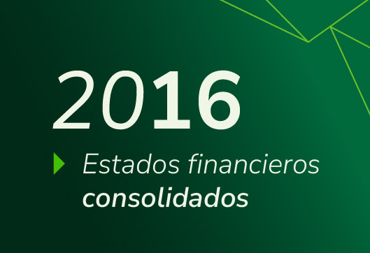 Estados Financieros Propuestas Consolidado 2016