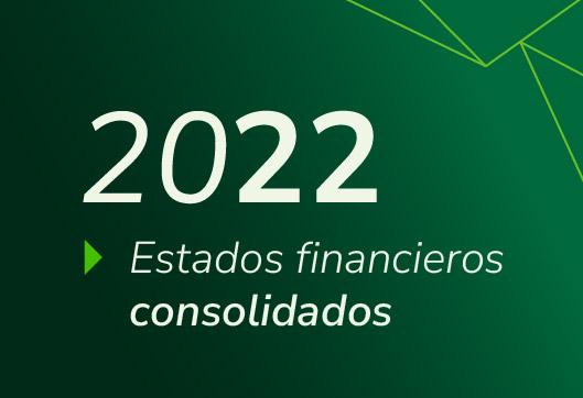 Estados Financieros Propuestas Consolidado 2022