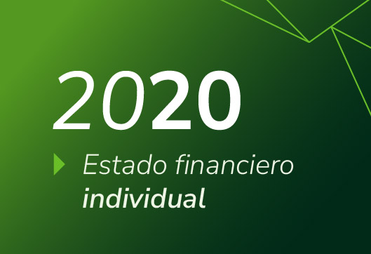 Estados Financieros Propuestas Invidividual 2020
