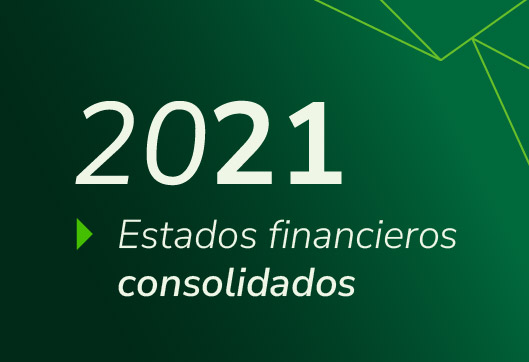 Estados Financieros Propuestas Consolidado 2021