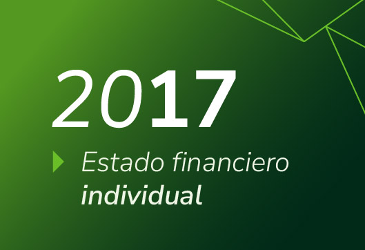 Estados Financieros Propuestas Invidividual 2017