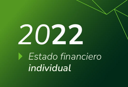 Estados Financieros Propuestas Invidividual 2022